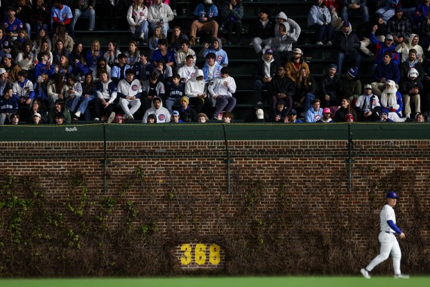 Cubs third baseman Matt Shaw (6) walks in the outfield near a brick wall during the seventh inning against the Phillies at Wrigley Field April 20, 2026, in Chicago. (Armando L. Sanchez/Chicago Tribune)