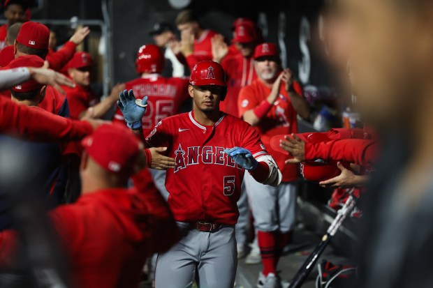 Angels second baseman Vaughn Grissom (5) celebrates in the dugout after hitting a sacrifice fly during the fourth inning against the White Sox at Rate Field April 27, 2026, in Chicago. (Armando L. Sanchez/Chicago Tribune)