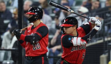 Chicago White Sox: Hitting coach sees variety in offense