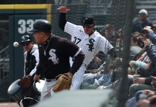 White Sox right fielder Dustin Harris (37) runs into security netting while chasing down a foul ball in the second inning against the Orioles at Rate Field on April 8, 2026, in Chicago. (John J. Kim/Chicago Tribune)