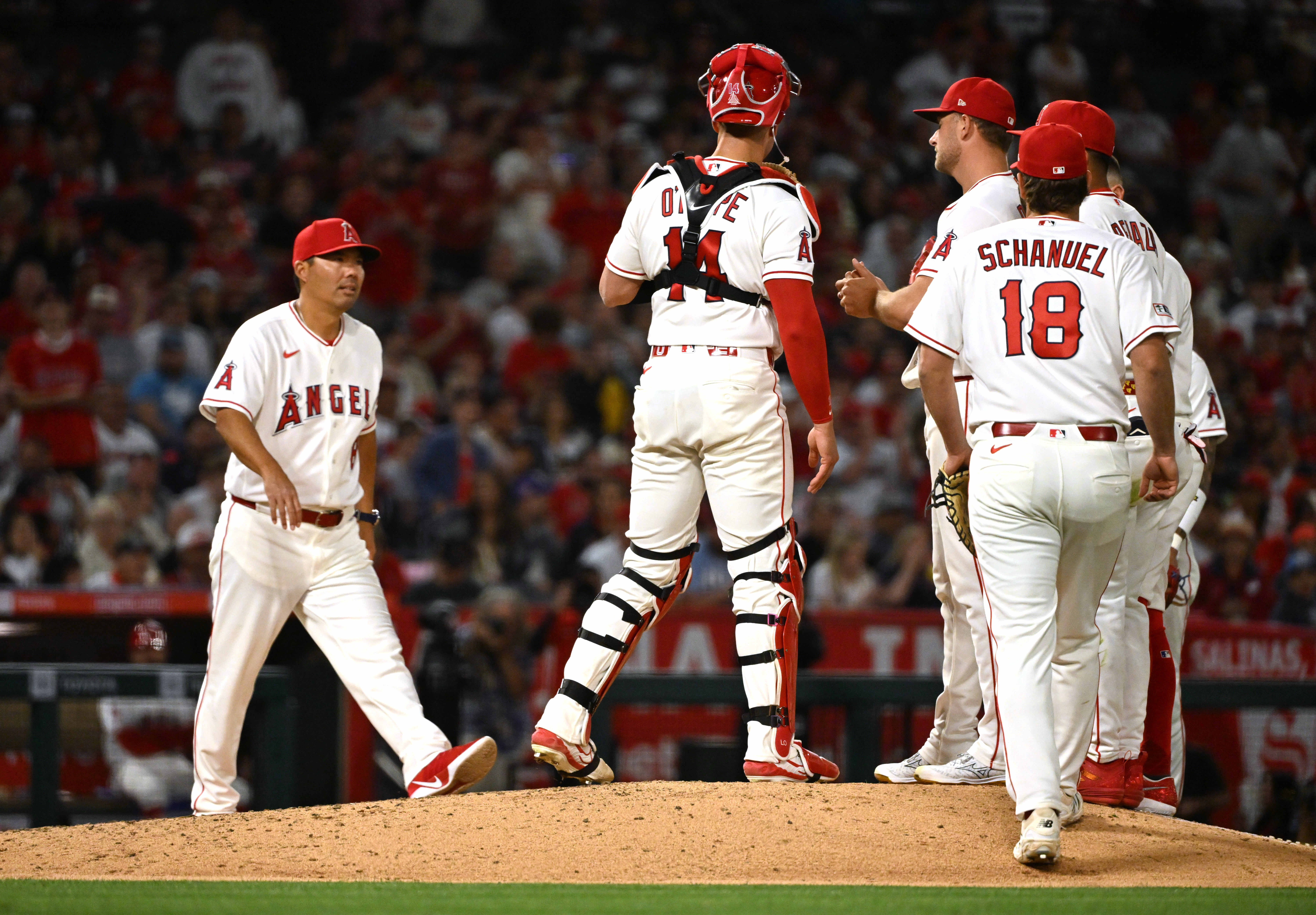 Manager Kurt Suzuki #8 of the Los Angeles Angels walks...