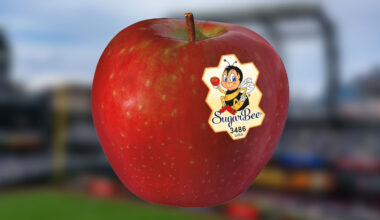 SugarBee Apple Named Official Healthy Snack of the Seattle Mariners