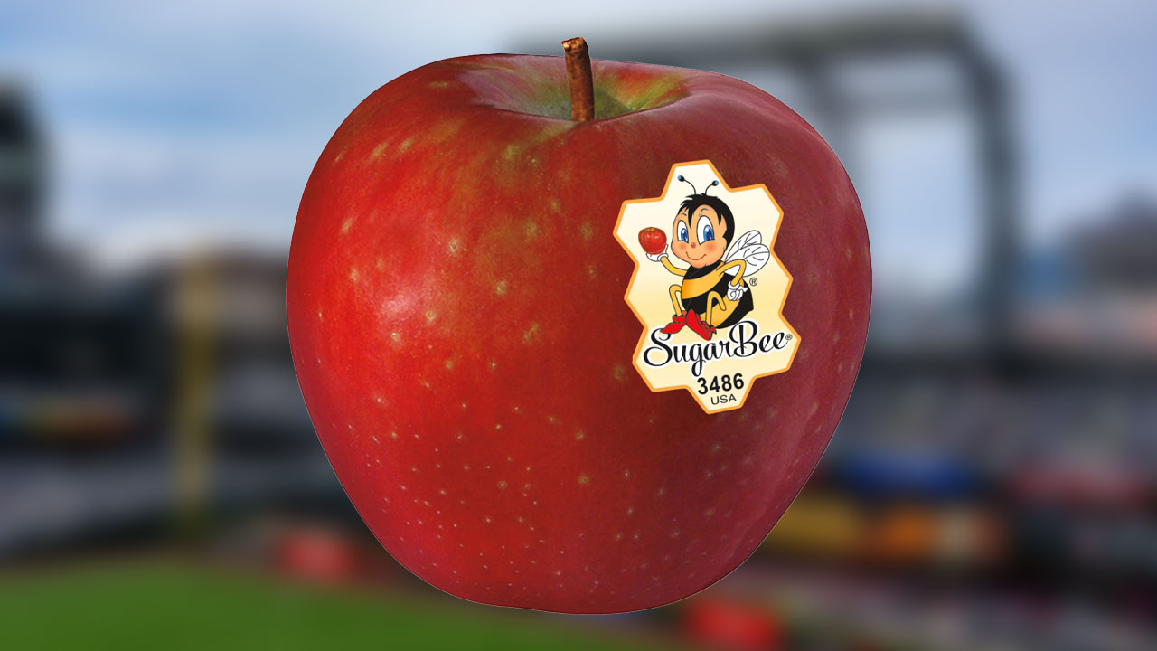 SugarBee Apple Named Official Healthy Snack of the Seattle Mariners