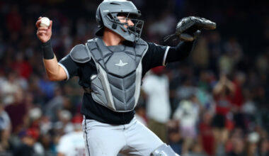 White Sox Designate Reese McGuire, Select Drew Romo