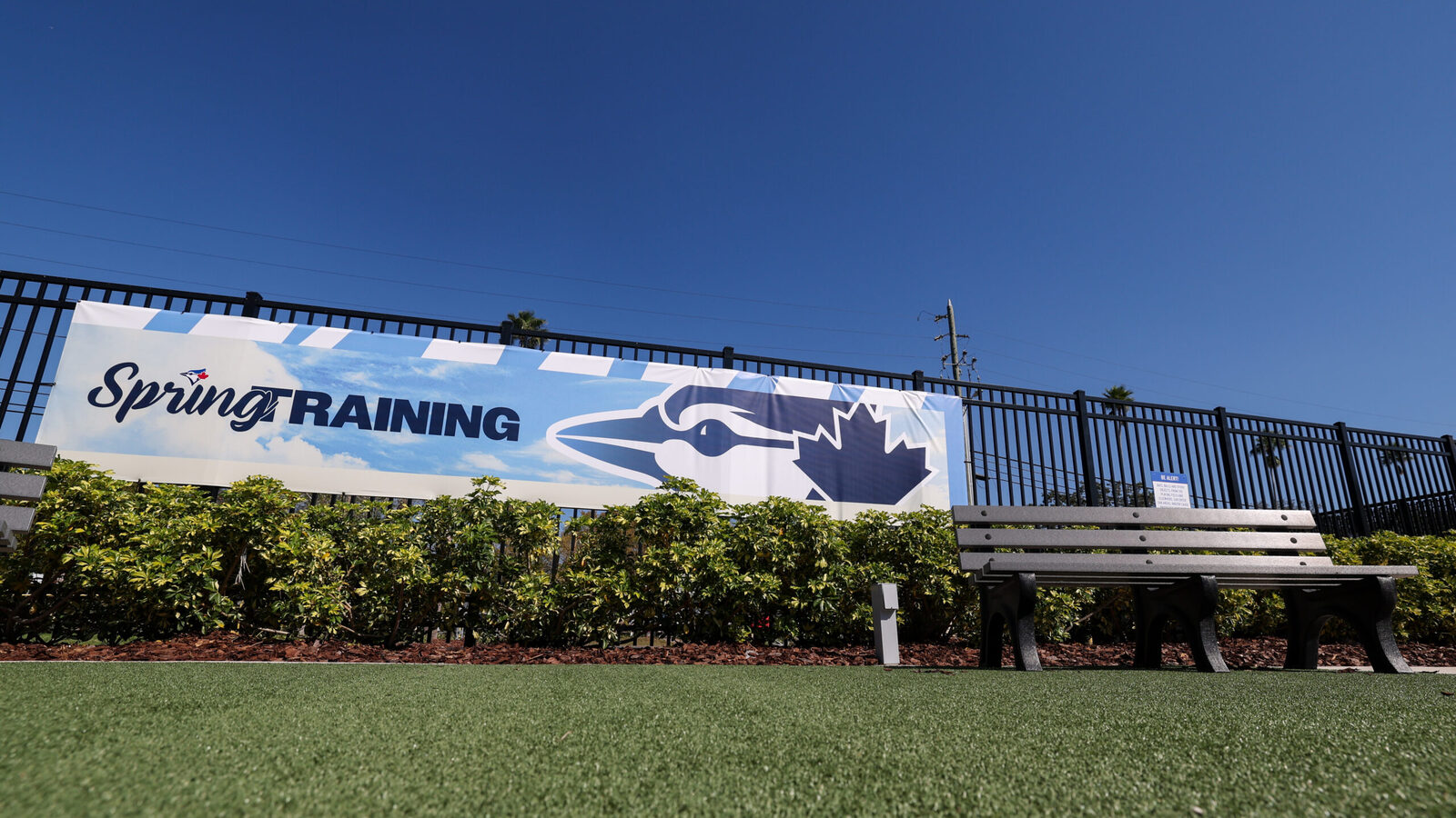 Blue Jays’ prospect Juan Sanchez promoted to Single-A