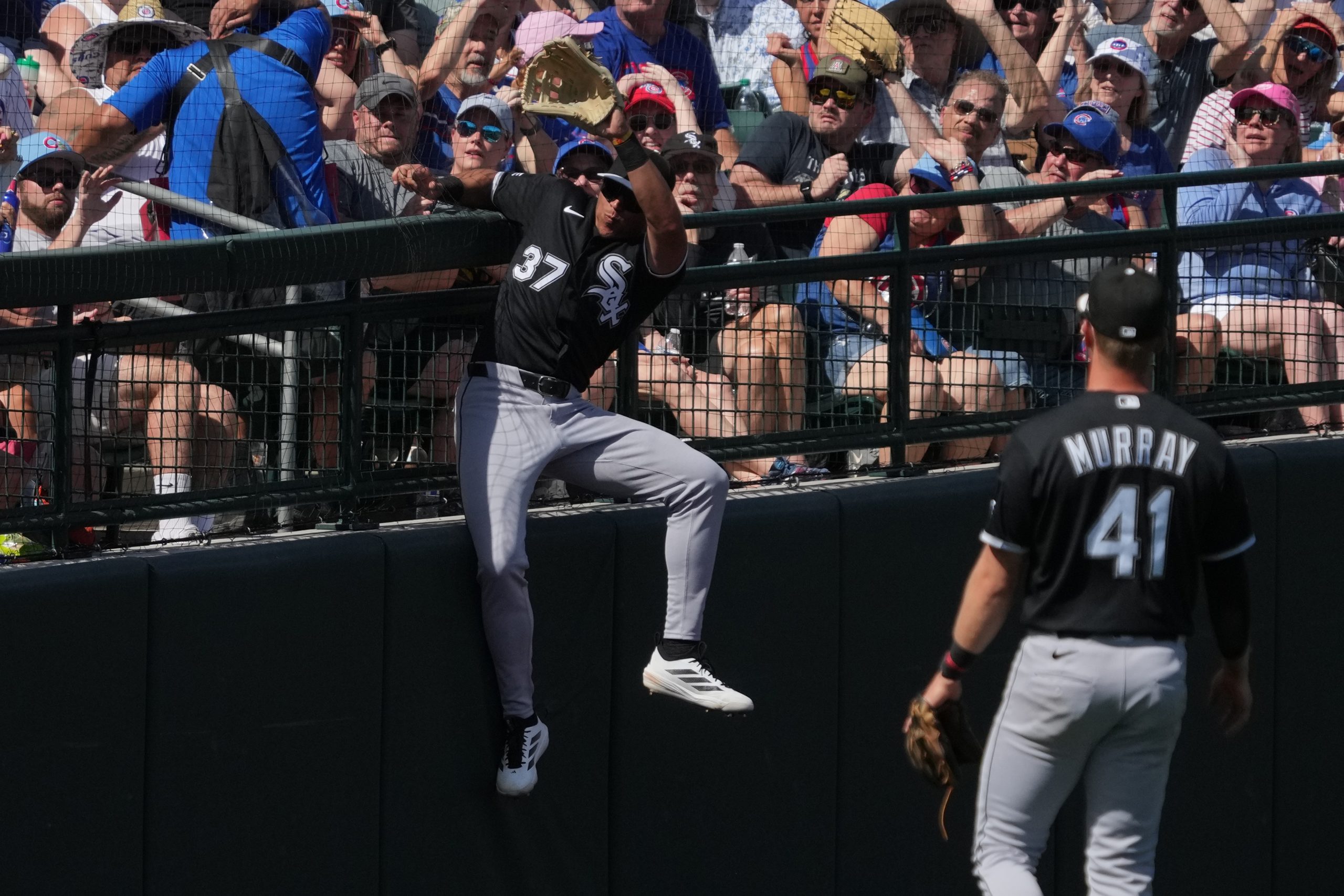 Chicago White Sox call up a versatile replacement for Austin Hays