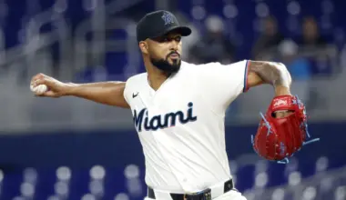 Marlins ace appears perturbed about his removal in loss to the Reds image