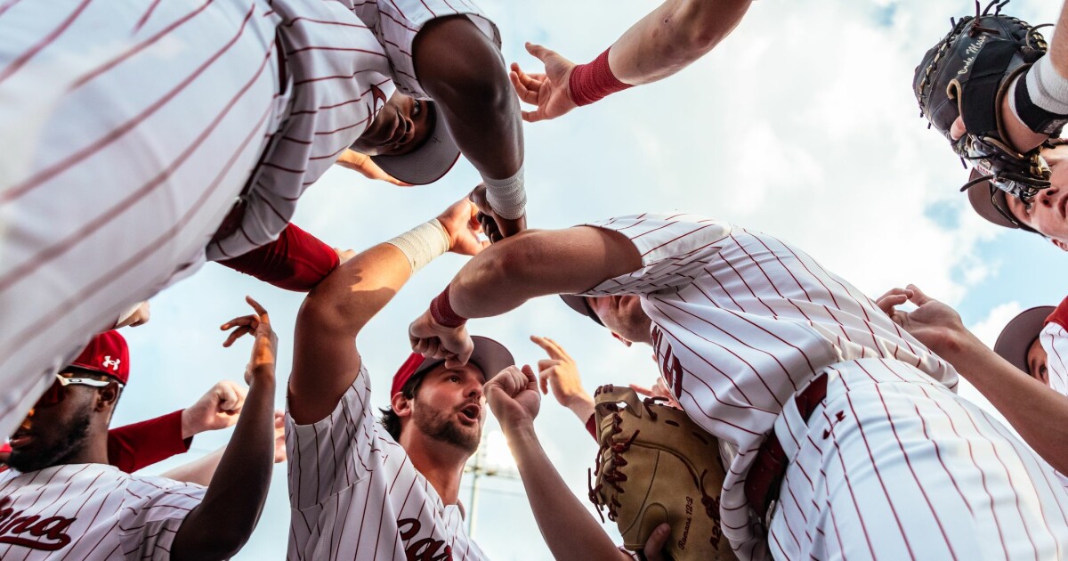 Gamecock Baseball Notebook – University of South Carolina Athletics