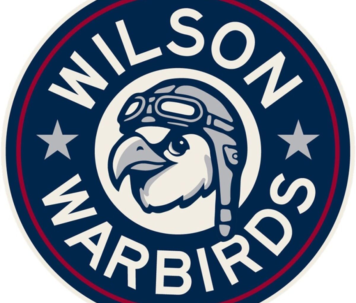 WARBIRDS WATCH, Friday, April 3