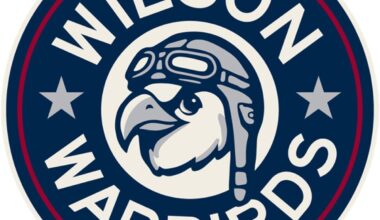 WARBIRDS WATCH, Friday, April 3