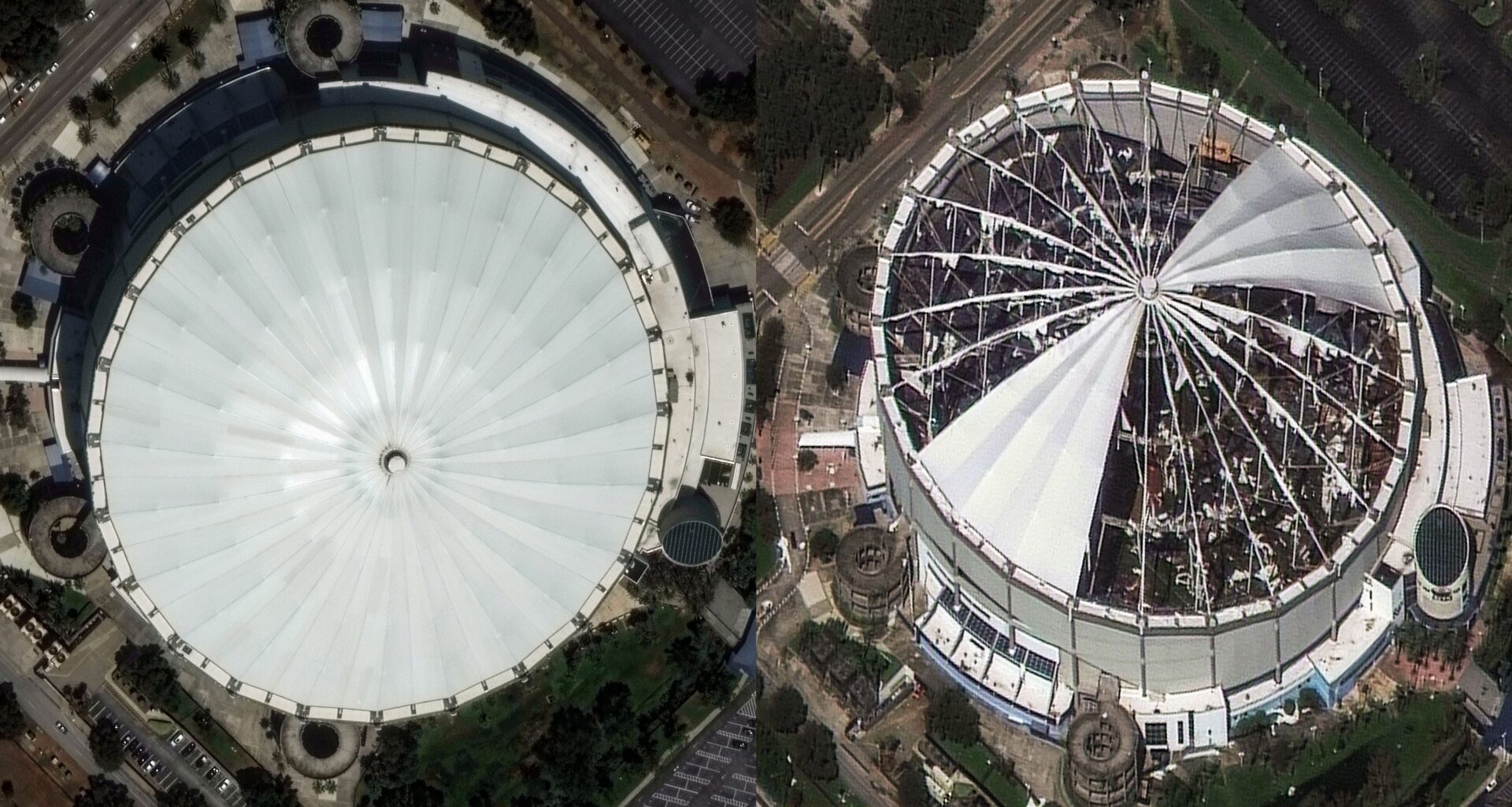Tampa Bay Rays celebrate return to renovated Tropicana Field