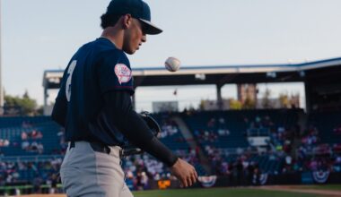 Week 2 Yankees minor league recap