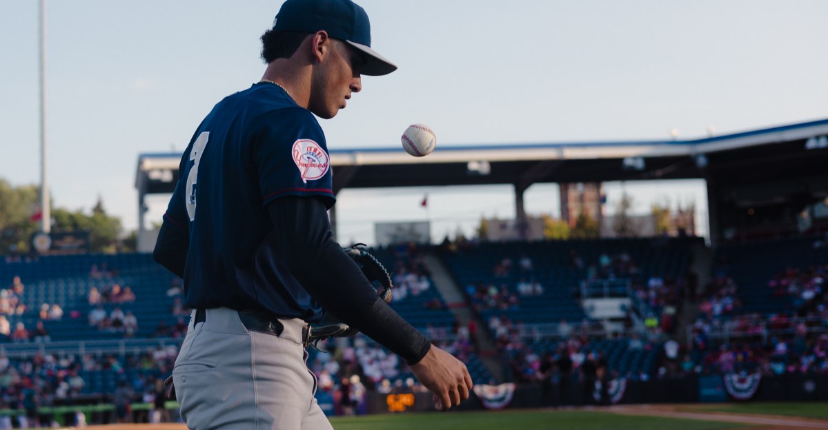 Week 2 Yankees minor league recap