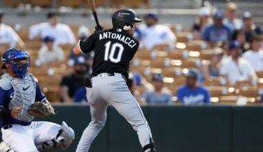 White Sox Minor League Update: April 7, 2026
