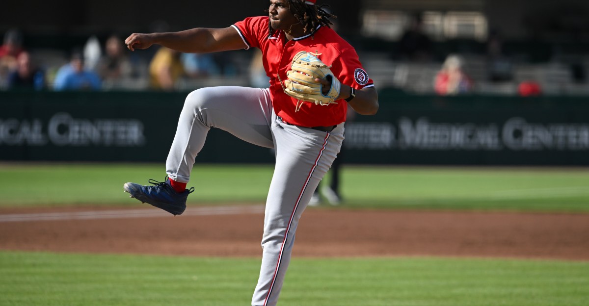 Washington Nationals prospect Miguel Sime Jr. makes electrifying Single-A debut