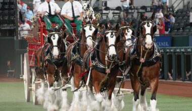 Texas Rangers a dud as Cincinnati Reds bring fireworks to GLF opener