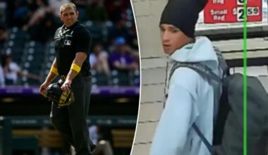 MLB umpire Brock Ballou punched in head during alleged robbery, assault