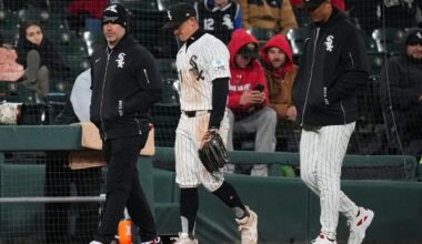 White Sox place Austin Hays on 10-day IL with hamstring strain