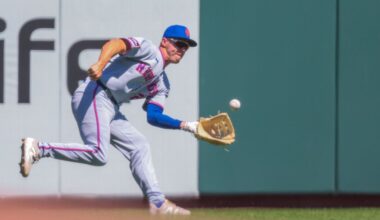 Mets' Jared Young likely out 6-8 weeks with meniscus tear