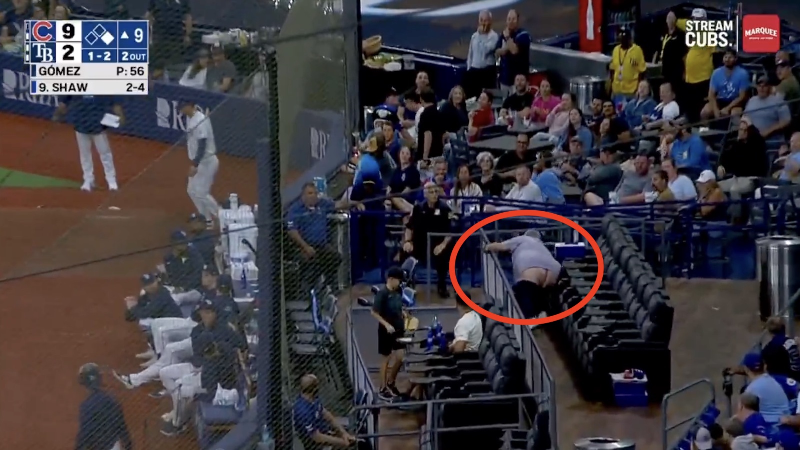 Rays fan accidentally showing full moon trying to catch a Cubs foul ball