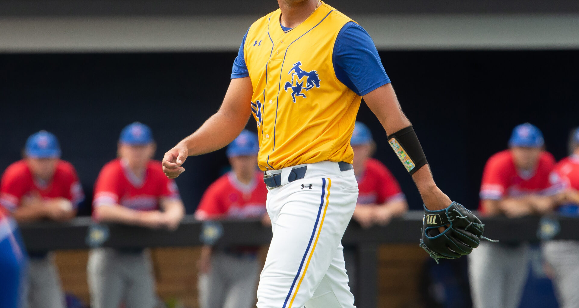 Solid opener for closer | American Press