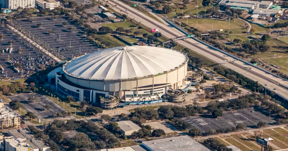 Things to do in Tampa Bay this weekend