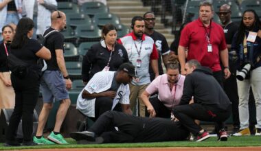 Singer collapses before White Sox game against Rays