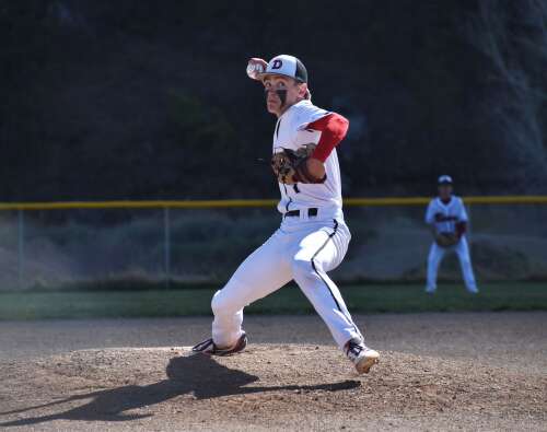 Surging Bears in baseball playoff mix as season hits halfway point