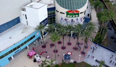 Rays return to Tropicana Field for home opener 18 months after Hurricane Milton