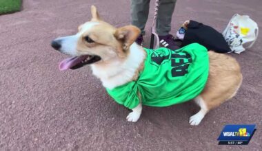 Doggone good time: O's debut new hot DOG race