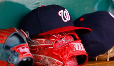 Washington Nationals unveil the latest stadium snack that will excite some, horrify others