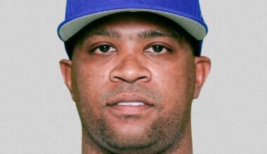 Baseball: BayStars slugger Viciedo to retire mid-season