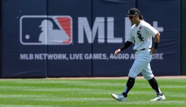 Nishida shows off his arm and his enthusiasm in big league debut with the White Sox