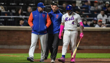 Mets’ Francisco Alvarez removed from Tigers game amid injury concerns