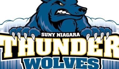 SUNY Niagara uses 6-run fourth to knock off three-time reigning champ RCSJ-Gloucester, advance to semis | Sports