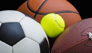 High school baseball: South Lewis and Beaver River both garner No. 1 seeds for Section 3 playoffs | Top Stories