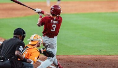 Gamecocks baseball needs more than just a new coach