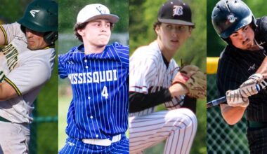 Check out the 2026 Vermont Principals' Association baseball playoff pairings for our Franklin County teams! | Sports