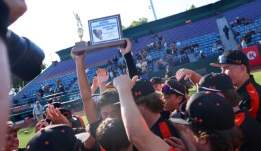 CCS, NCS baseball, softball playoffs: Championship game scores