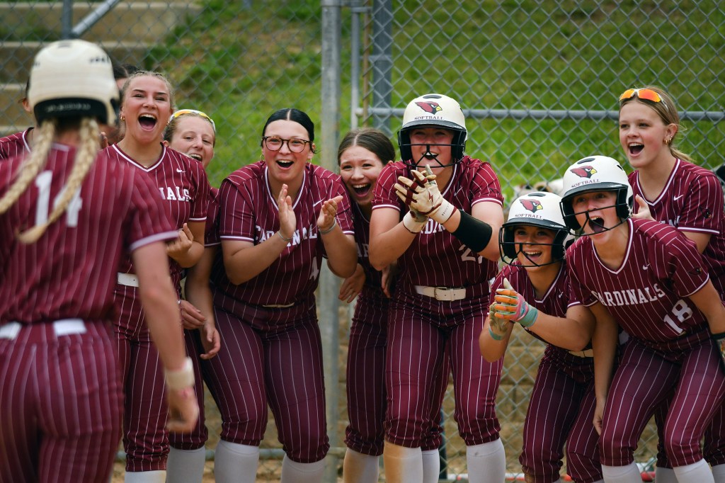 H.S. BASEBALL and SOFTBALL: Seven Schuylkill League teams begin state playoff journey – Pottsville Republican Herald