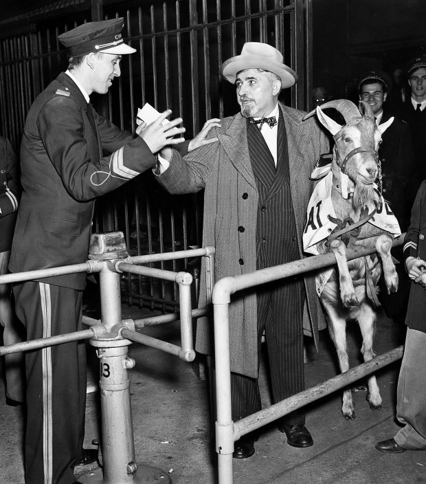 Olaf Logan, an Andy Frain usher, stops William Sianis, owner of the Billy Goat Tavern at 1855 W. Madison St., from entering the ballpark in a re-enactment on Oct. 12, 1945. Cubs owner P.K. Wrigley said Sianis could come in, but the goat had to stay out because he smelled. (Chicago Tribune historical photo)