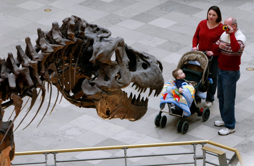 Today in Chicago History: Sue the T. rex debuts at Field Museum