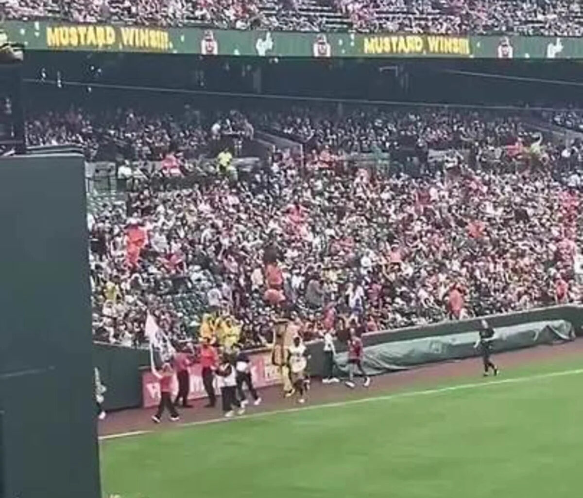 Underdog Breaks Losing Streak in Hot Dog Race