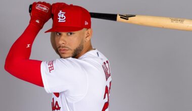 Can Outfielder Joshua Baez Give St. Louis Cardinals Much-Needed Power?