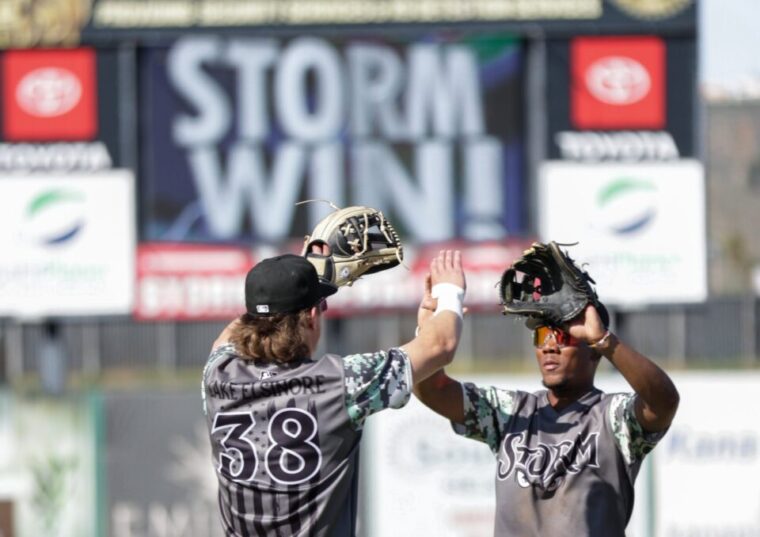Padres Down on the Farm: June 10 (Castro K's 12 in Storm win)