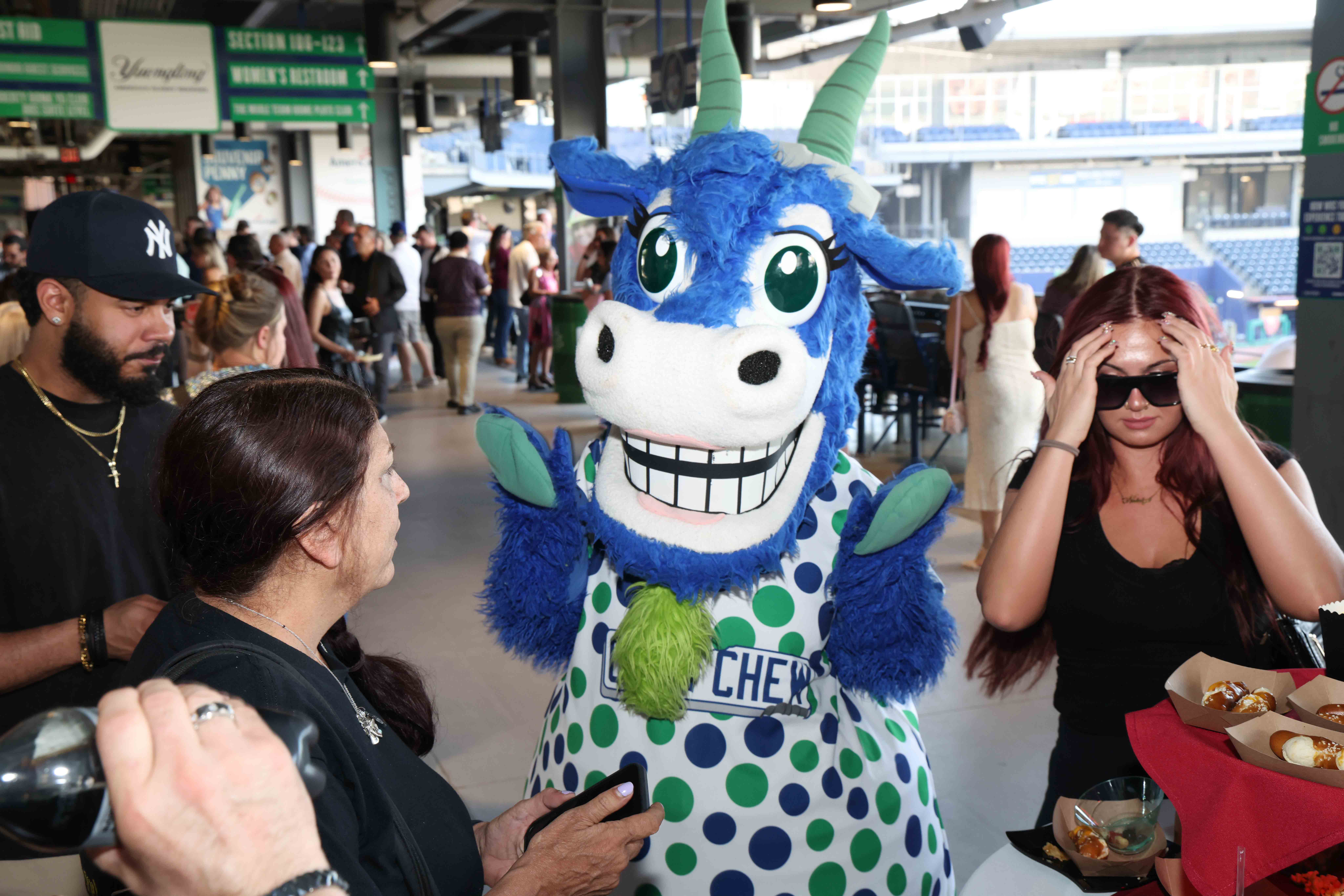 The Hartford Courant and The Hartford Yard Goats Baseball Club,...