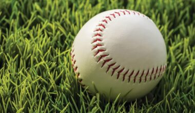 Bedford routs Amoroso's, 19-2, in Mtn. League Junior Division | Local Sports