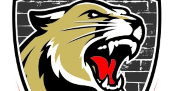 Hanover overcomes early deficit to beat Lady Kougars for 3A sectional title | Sports