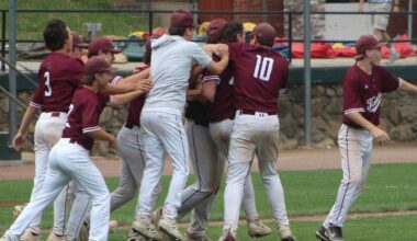 Upstart Owls KO Bishop Guertin; slide into state baseball semis | Sports