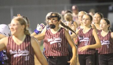 Little League softball: Davis County holds off Monroe County in district final preview | Sports